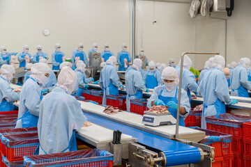 The workers are busy in a modern broiler processing factory on the Automated production line of broiler segmentation. Cutting meat slaughterhouse workers in the refrigerator in the food factory.