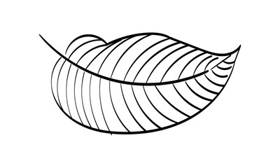 Autumn Leaf Design. Season nature ornament garden decoration. Idea for picture in frame, ornament, autumn holidays. Isolated vector illustrations with white backgrounds. Logo, icons, decoration.