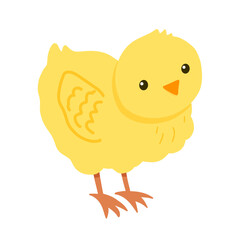 Cute yellow chick isolated on white background. Baby vector flat illustration with farm bird