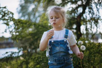 Pretty little girl blowing off dandelion seeds on sunset in summer park. Image with selective focus