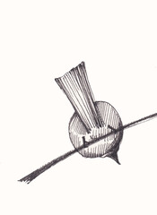 Hand drawn illustration of a brush bird