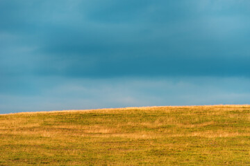 Fototapeta premium Grass meadow with dark overcast sky in background