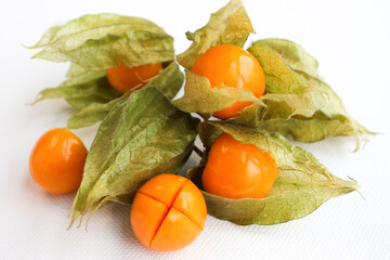 Close-up photo of the berries of the physalis plant. Bright orange fruits on a white background.