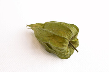 Close-up photo of the berries of the physalis plant. Bright orange fruits on a white background.