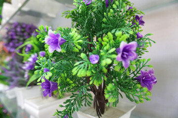 Beautiful and colorful flowers as background.