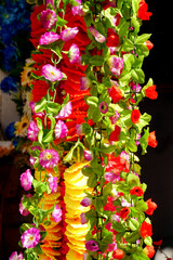 Beautiful and colorful flowers are arranged in a row.