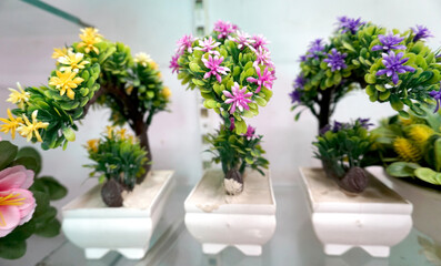 Beautiful and colorful flowers are arranged in a row.