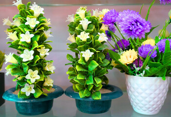 Beautiful and colorful flowers are arranged in a row.