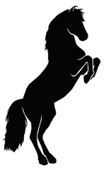 Stallion silhouette illustration on white background