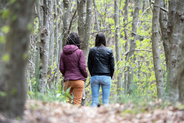 girls couple walking in forest
