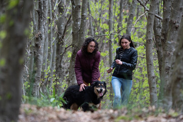 siblings laughing and playing with the dog in the forest