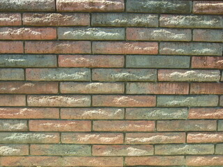 秋の陽のあたる石塀