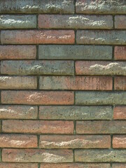 秋の陽のあたる石塀