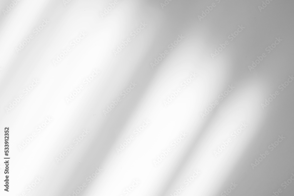 Poster Abstract white studio background for product presentation. Wall with shadows of window. Display product with blurred backdrop.