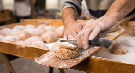 wheat dough shaped into loaves arranged in rows on the table before baking