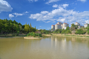 view of lake in the park
