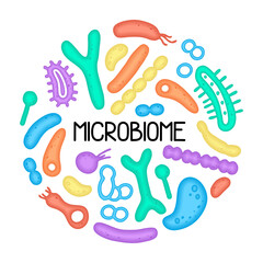 Microbiome illustration of bacteria. Vector image. Gastroenterologist. Bifidobacteria, lactobacilli. Lactic acid bacteria. Illustration in a flat style.