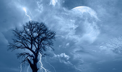 Fototapeta na wymiar Lightning strike on a dark blue sky over silhouette of tree branch with full moon 