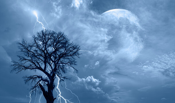 Lightning strike on a dark blue sky over silhouette of tree branch with full moon "Elements of this image furnished by NASA"