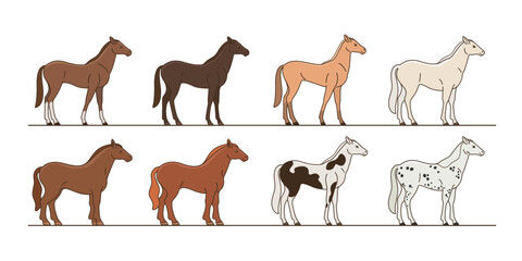 Different breeds of horses. Horse standing.