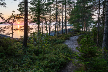 Sunset in the forest. Pörkenäs, Finland