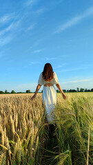 A girl walks gracefully between barley and wheat in Ukraine. Enjoys beauty of Ukrainian nature