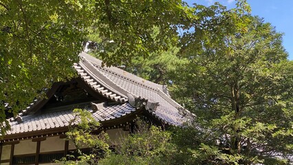 beautiful traditional rooftop of Japanese temple house, Chiba prefecture of Japan, year 2022 summer