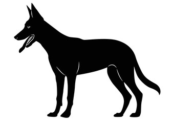 Fototapeta na wymiar german shepherd dog breed vector illustration.A detailed animal silhouette of a pet dog. For shephard lovers every where. Black full height silhouette of a dog.