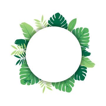tropical leaf background social media template