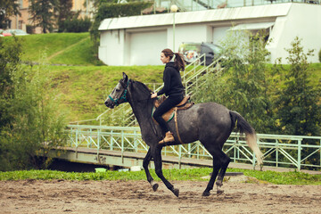 Young girl sits astride a grey horse. Girl rider. Girl larkes on black horse