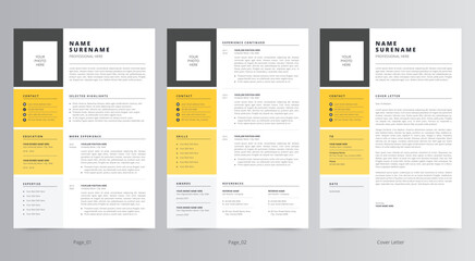 Professional Resume or CV and Cover Letter Template