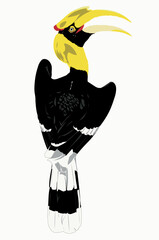 The great hornbill (Buceros bicornis), also known as the concave-casqued hornbill, great Indian hornbill or great pied hornbill, is one of the larger members of the hornbill family. 