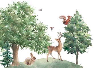 Woodland wildlife wallpaper. Illustration with squirrel, deer and rabbit. Watercolor animal and forest evergreen trees on white background.