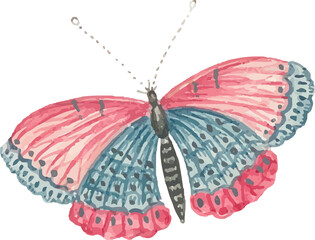 watercolor butterfly