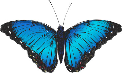 watercolor butterfly