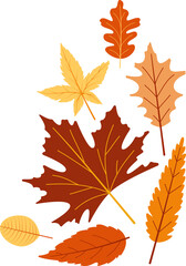 Chaotic arranged autumn leaves.