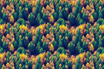 Fototapeta na wymiar From above Autumn trees background