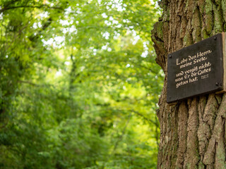 Bibelspruch an einem Baum