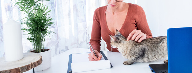 Unrecognizable woman sitting writing notes in a folder stroking a tabby cat