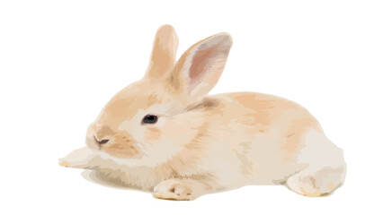 Cute bunny. Vector illustration of a cute yellow Easter bunny isolated on a white background.