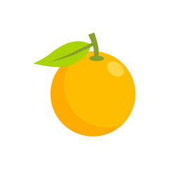 Orange fruit hand drawn illustration vector design. Orange fruits isolated on white background. Orange flat icon.