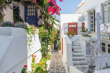 Naxos island Greece. Traditional whitewashed building plants and flowers souvenir shop paved alley.