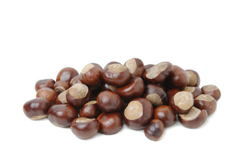 Horse chestnuts isolated on white background