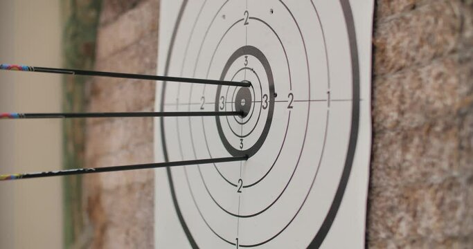 cible de tire &agrave; l'arc avec des des fl&eacute;che qui vienne transpercer la cible