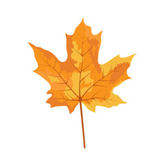Autumn Maple Leaf