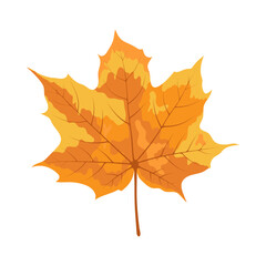 Autumn Maple Leaf