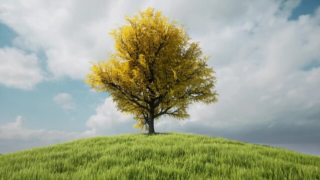 Autumn one tree hill Cloud motion nature landscape rural scene 4k