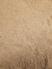 Texture of sand for a backgraound