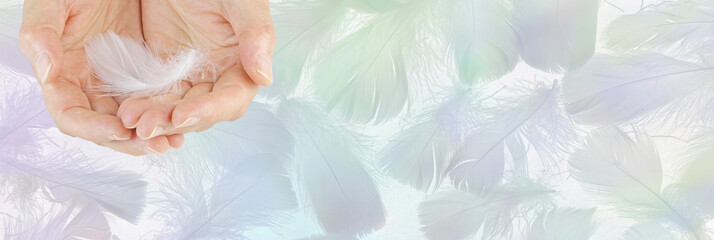 Angel feather message banner template - female cupped hands with single white fluffy feather against wide pastel coloured background of random feathers ideal for a gift voucher, coupon, advert 