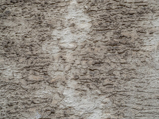 Wand und Gebäudeschäden am Altbau